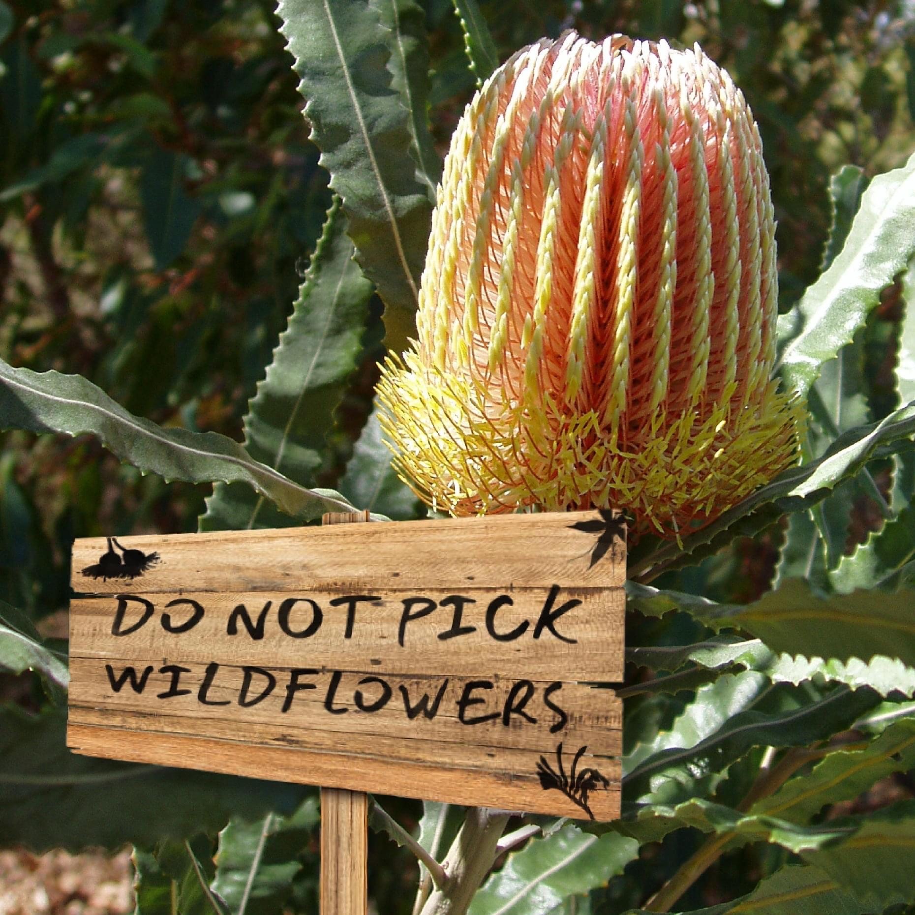 National Parks Outdoors WA